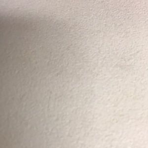 Meet your Posher, Errol